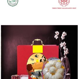 8938511822205-1668758733