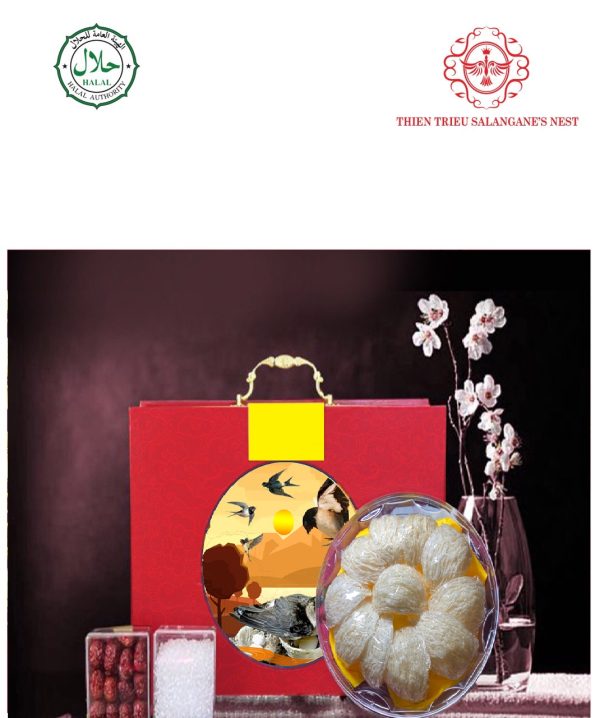 8938511822205-1668758733