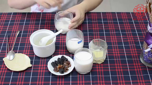 cach-lam-sua-chua-yen-sao-04