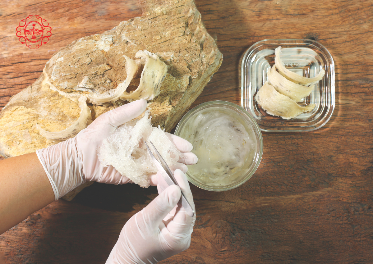 canh-bao-yen-sao-gia-dang-tran-ngap-thi-truong-05